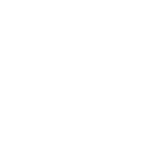 professional-service
